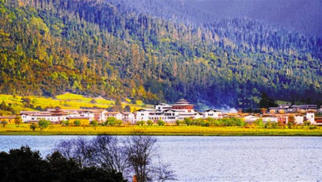 川藏線(xiàn)魯朗小鎮