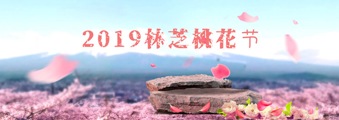 林芝桃花節成都到西藏包車(chē)多少錢(qián)