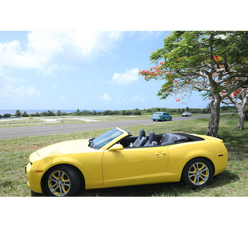 成都旅游租車(chē)